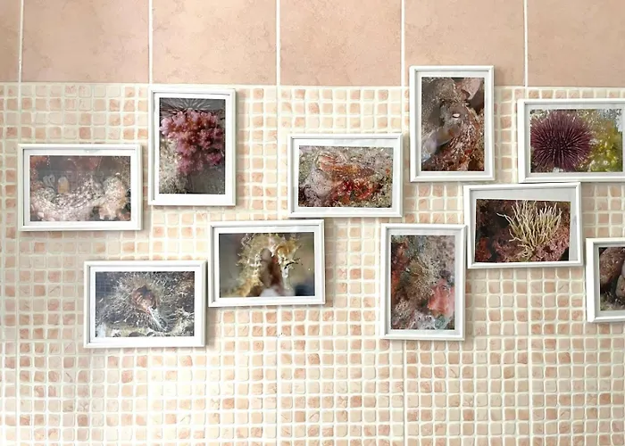 Privatunterkunft Casa Dei Ciclamini *